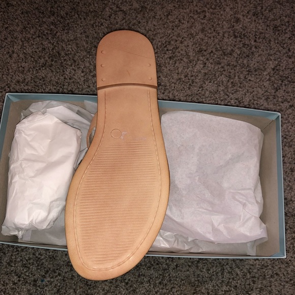 Brand new Seychelles Sandals - Picture 4 of 4